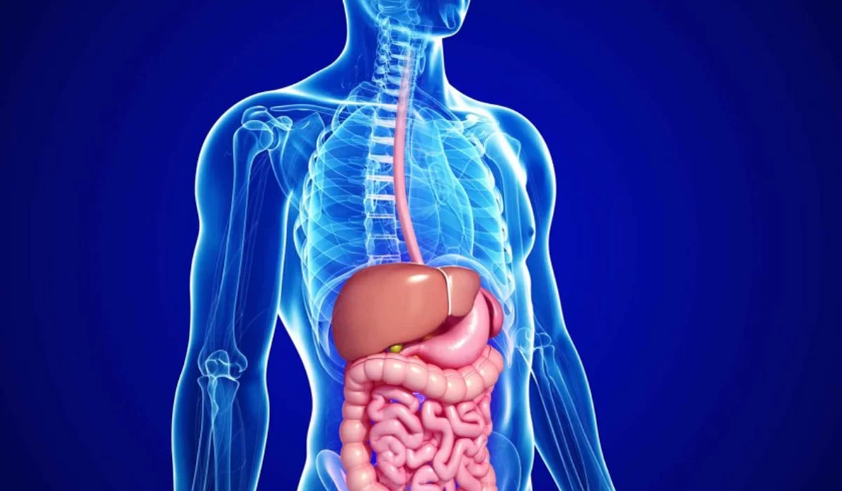 Treatments Image